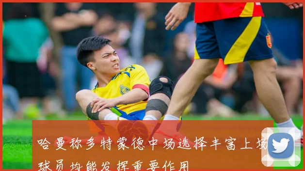 哈曼称多特蒙德中场选择丰富上场球员均能发挥重要作用