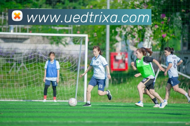 UED体育发展历程